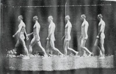 杰西-戈德利的马瑞轮照片，1884年。 作者 托马斯·埃金斯