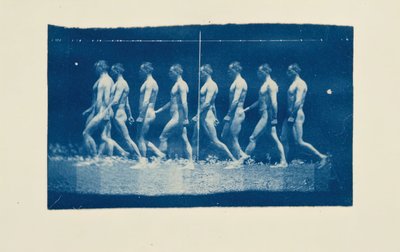 杰西-戈德利的马瑞轮照片，1884年。 作者 托马斯·埃金斯