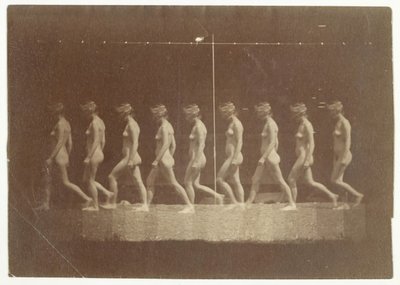 不明型号的Marey轮毂照片，1884年。 作者 托马斯·埃金斯