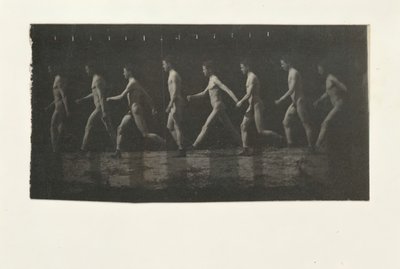 不明型号的Marey轮毂照片，1884年。 作者 托马斯·埃金斯