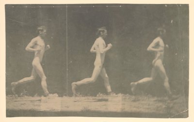 不明型号的Marey轮毂照片，1884年。 作者 托马斯·埃金斯