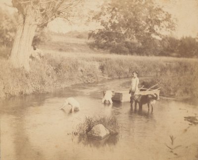 [三个孩子和一只狗在小河里玩耍，1883年7月4日]，1883年。 作者 托马斯·埃金斯