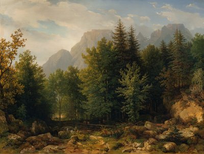 高山森林景观 作者 托马斯·恩德斯