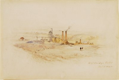 Waldridge Colliery 作者 托马斯·H·海尔