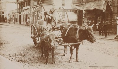 第1018号，"白人的酒吧"，1895-1910。 作者 托马斯·H·林赛
