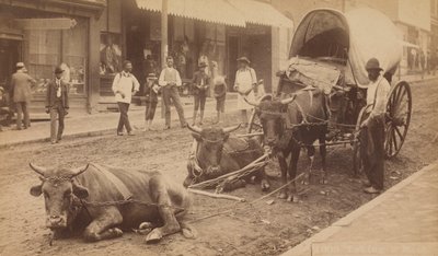 第2009号，《休息》，1890-1895。 作者 托马斯·H·林赛