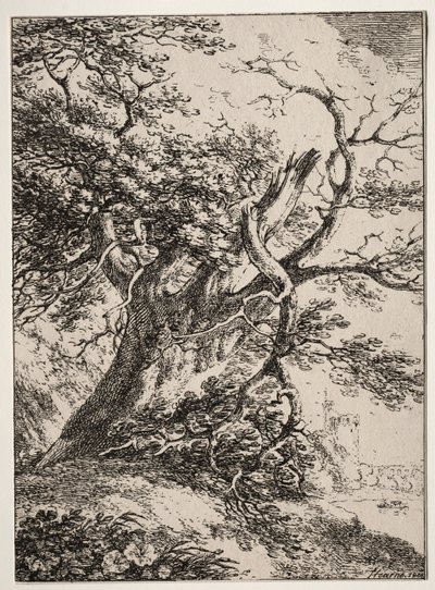 复测的标本：《一棵橡树的风景》，1803年。 作者 托马斯·赫恩