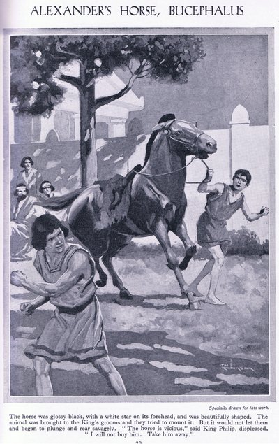 亚历山大的马，Bucephalus：这匹马全身乌黑光亮，额头上有一颗白星，约 1950 年（石版印刷）。 作者 汤玛斯·希思·罗宾逊