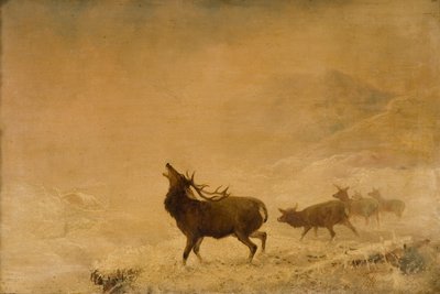 因此，1883年 作者 托马斯·亨利·吉布