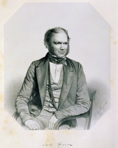 查尔斯罗伯特达尔文（1809-82）1849年 作者 托马斯·赫伯特·马奎尔