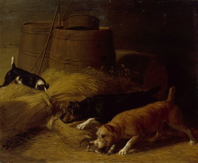 1851年，大麦捆中的老鼠。 作者 托马斯·休斯·欣克利