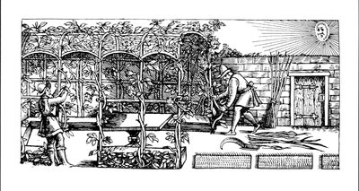 从1586年的“园丁的迷宫”中，阿尔布尔被建造成一个遮挡太阳的阴影 作者 托马斯·希尔