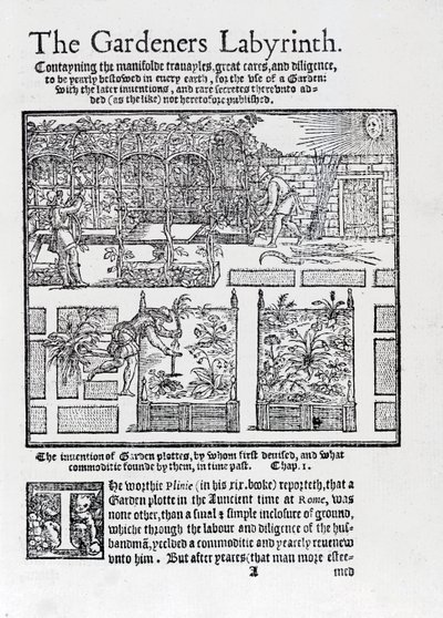 从1577年的园丁迷宫（The Gardeners Labyrinth）开始，阿尔布尔（Arbor）建造成遮阳和种植在高高的床上 作者 托马斯·希尔
