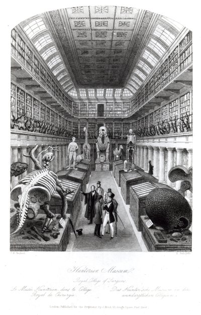 亨特里安博物馆，插图为&39;伦敦室内设计&39;，由Edward Radclyffe雕刻，1840年代 作者 托马斯·霍斯默牧羊人