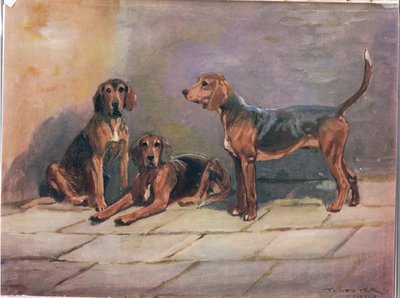 狗，插图来自&39;猎犬&39; 作者 托马斯·伊夫斯特·劳埃德