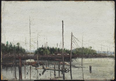 淹没之地，1912年（纸上油（带有浮雕帆布质地）在木头上） 作者 汤姆汤姆森