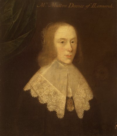 Gwysaney的Anne Davies夫人，约1630年。 作者 托马斯·利