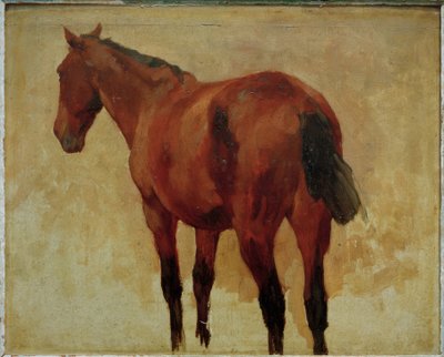 Pferdestudie 作者 托马斯·路德维希·赫伯斯特