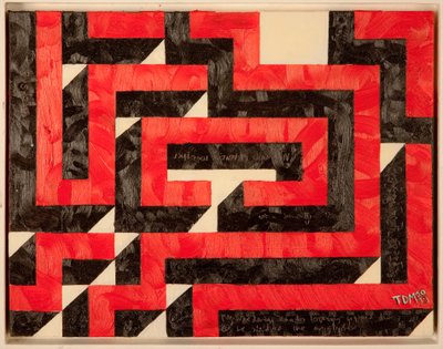 沃伦弗莱彻迷宫 作者 Thomas MacGregor