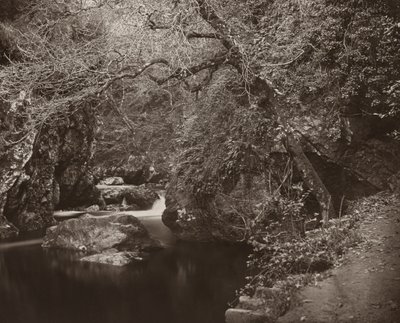 达格尔洞，约1865年。 作者 托马斯·马库斯·布朗里格