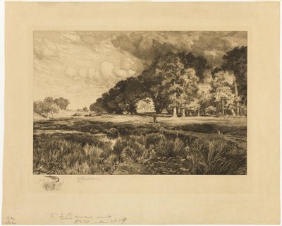 长岛景观 作者 托马斯·莫兰