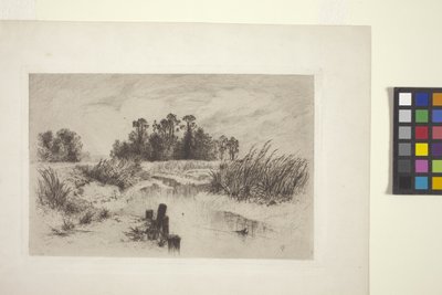 有溪流的沼泽风景（蚀刻版画，纸本） 作者 托马斯·莫兰