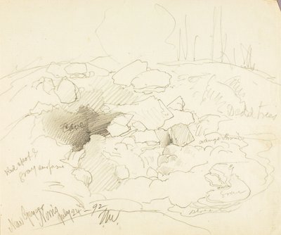 诺里斯，新盖尔 作者 托马斯·莫兰