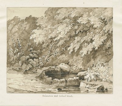 Codsall Wood-硫磺井：棕褐色绘图 作者 托马斯·佩普洛伍德