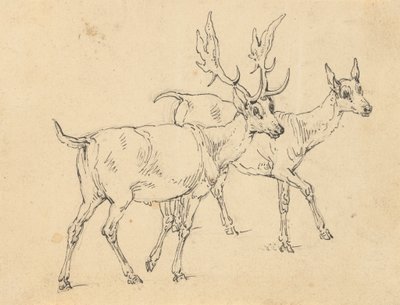 相册绘画 作者 托马斯·罗兰森