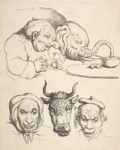 比较解剖学，1800-25.，1800-25.。 作者 托马斯·罗兰森