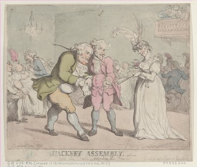 哈克尼议会，1802年，1802年。 作者 托马斯·罗兰森