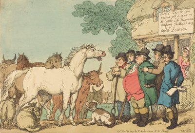 可保险的牛》，1809年出版。 作者 托马斯·罗兰森