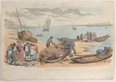 图版31，摘自《微型世界》，1816年，1816年。 作者 托马斯·罗兰森