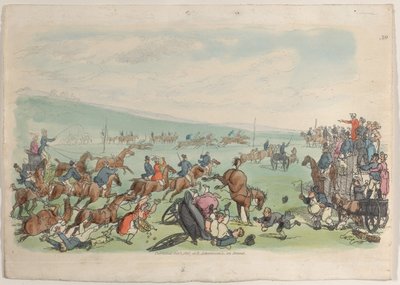 图版39，摘自《微型世界》，1816年，1816年。 作者 托马斯·罗兰森