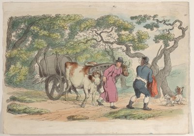 图版40，摘自《微型世界》，1816年，1816年。 作者 托马斯·罗兰森