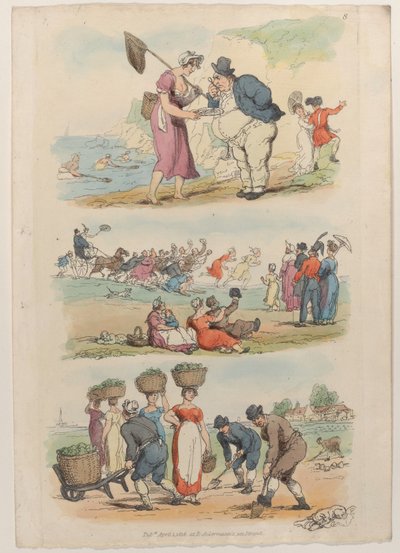 图版8，摘自《微型世界》，1816年，1816年。 作者 托马斯·罗兰森