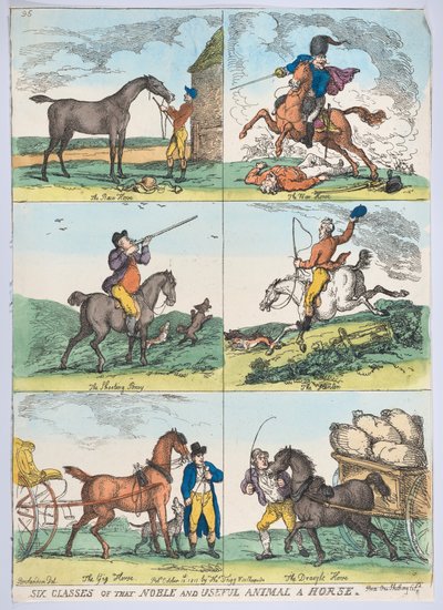 Six Classes of the Noble and Useful Animal a Horse, October 10, 1811., October 10, 1811. 作者 托马斯·罗兰森