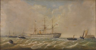 HM部队？ 1879年12月5日从孟买抵达斯皮特黑德，带回了第三架 作者 托马斯·塞威尔·罗宾斯