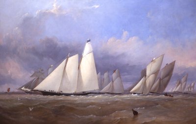 考斯美国，1852年 作者 托马斯·塞威尔·罗宾斯