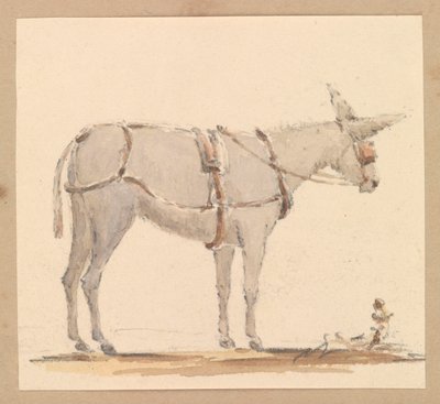 带缰绳和马具的驴子研究，约 1820 年（纸上铅笔和棕色、灰色水彩画） 作者 托马斯·斯特里特菲尔德