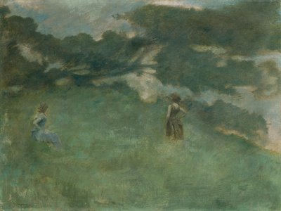 隐士鸫，1890年。 作者 托马斯·威尔默·杜温