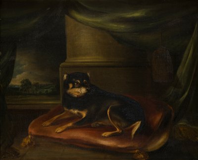 红色靠垫上的宠儿泰迪犬，约 1794-1843（布面油画） 作者 托马斯·韦弗