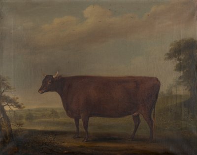 风景中的红色德文郡小母牛，约 1812 年（布面油画） 作者 托马斯·韦弗