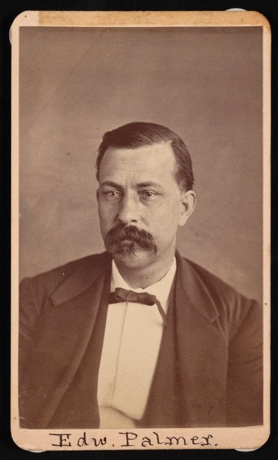 爱德华-帕尔默的肖像，1829-1911年，1900年以前。 作者 托马斯·威廉·斯米利