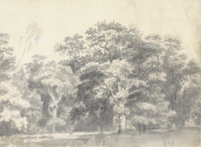 河岸上的树 作者 托马斯·威克