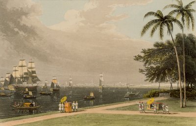 加尔各答的看法从庭院伸手可及的距离，1810年 作者 托马斯和威廉丹尼尔