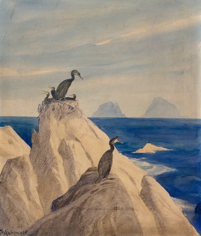 北椋鸟（纸上铅笔和水彩画） 作者 索罗尔夫·霍尔姆博