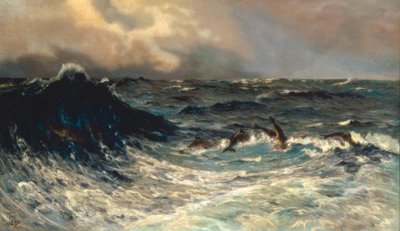 与海豚一起动海 作者 托瓦尔德·尼斯