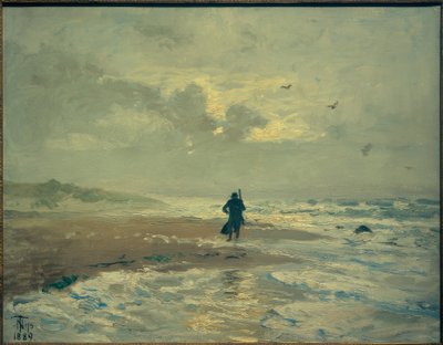 Strandansicht。斯卡恩附近的格林纳 作者 托瓦尔德·尼斯