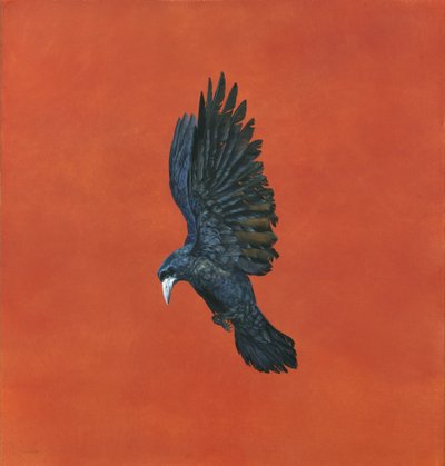Shine-Red，（拱形640gsm纸上的水彩和guache），101.6 x 91.4cm 作者 蒂姆·海沃德